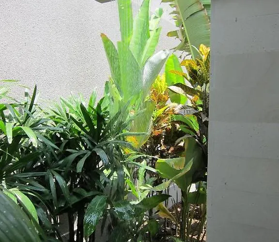 Kejora 10 Villa *